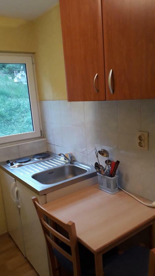 Vila Ruska Prčanj エクステリア 写真