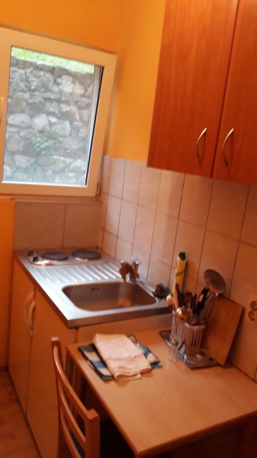 Vila Ruska Prčanj エクステリア 写真