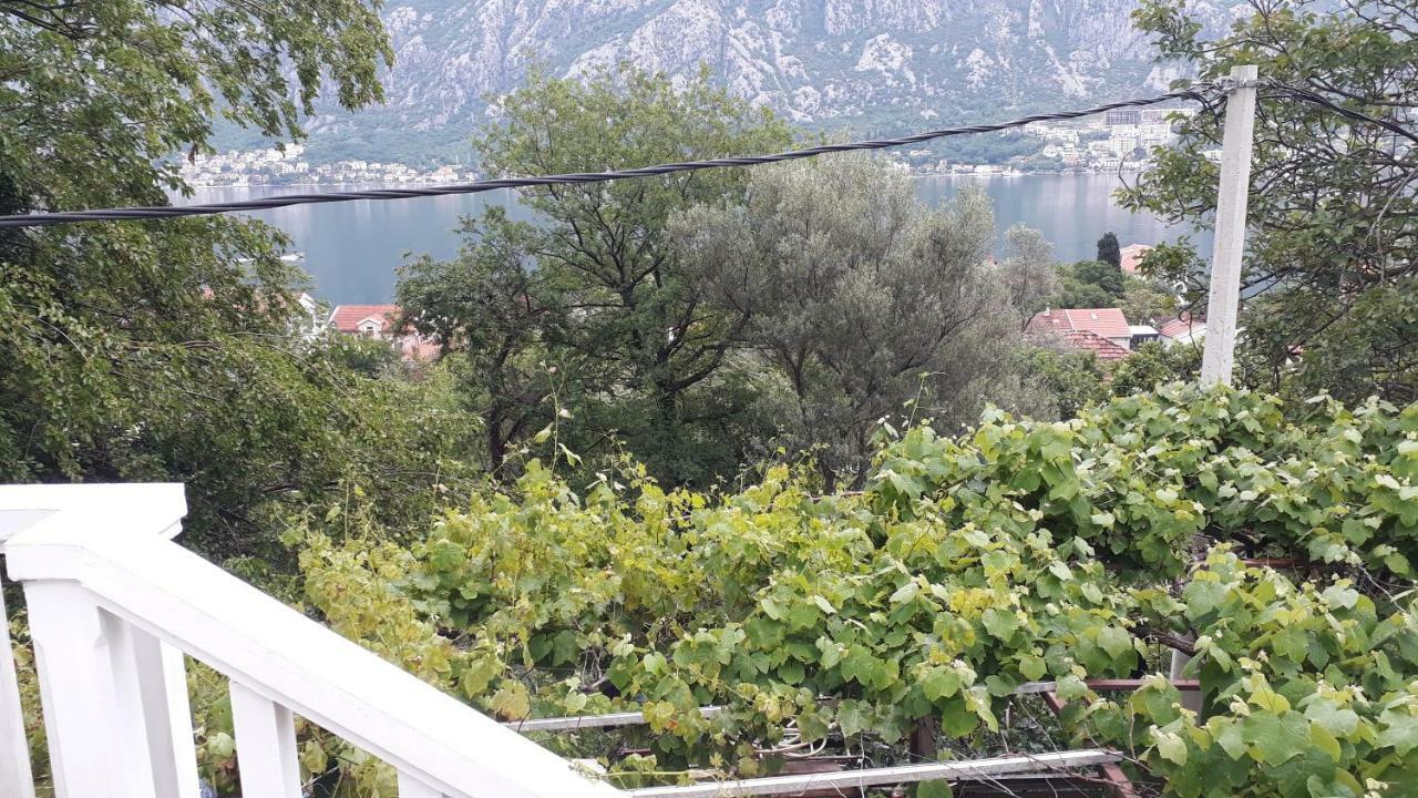 Vila Ruska Prčanj エクステリア 写真